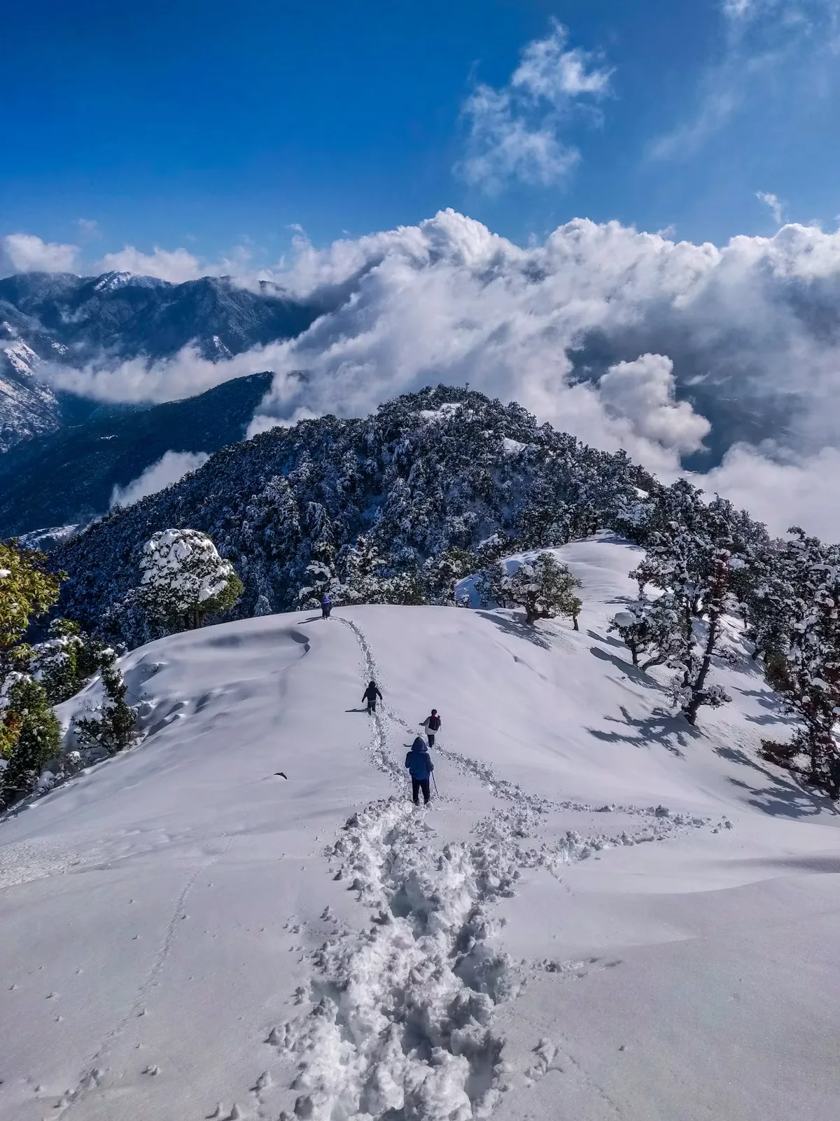 Annapurna Region