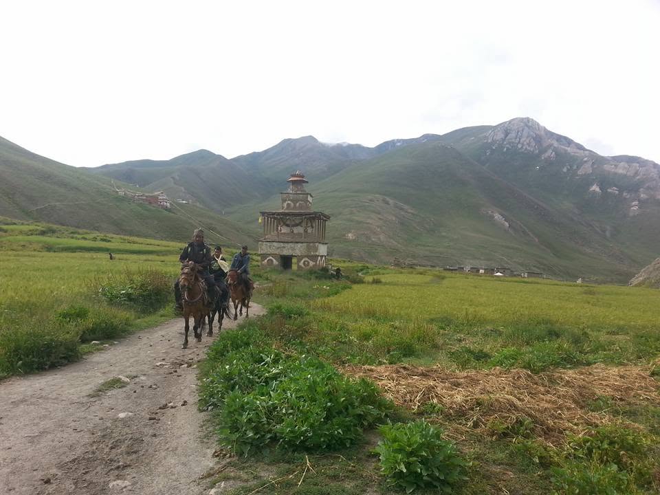 dolpa2