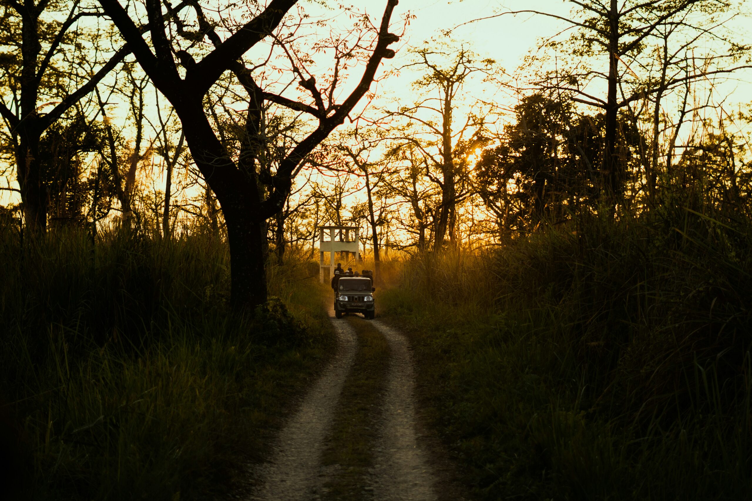 kartabya-aryal-dHw-xRahyLY-unsplash